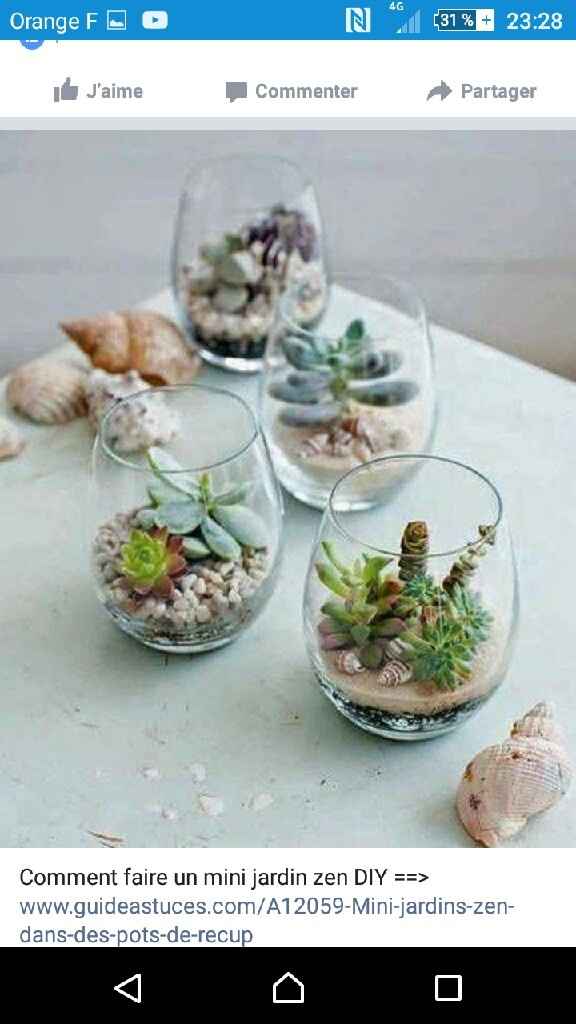 Déco avec des succulentes. - 1