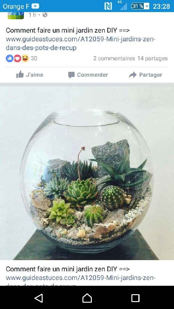 Déco avec des succulentes. - 2