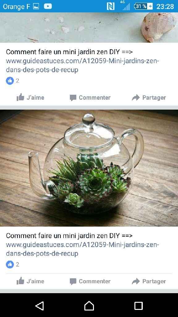 Déco avec des succulentes. - 3