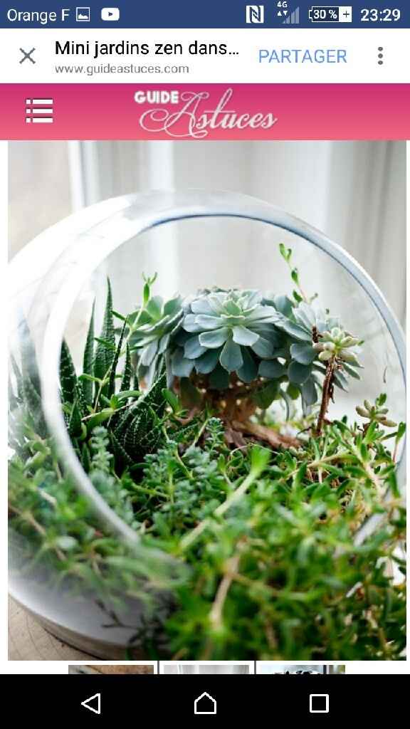 Déco avec des succulentes. - 5