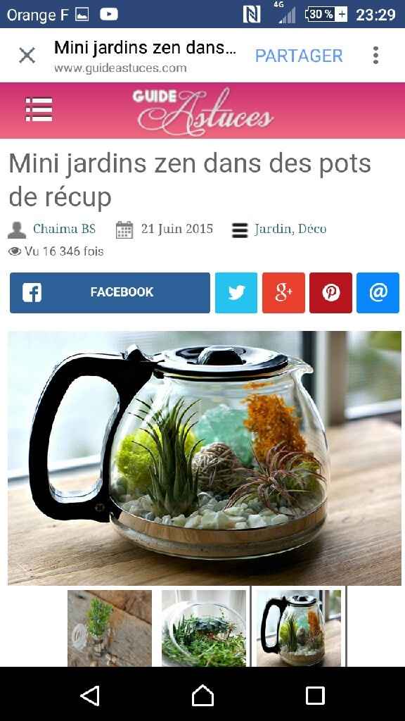 Déco avec des succulentes. - 6