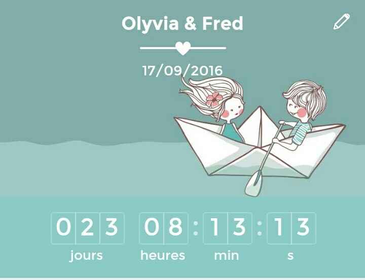 Déco voiture de la mariée - 4