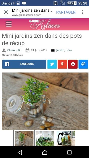 Déco avec des succulentes. - 4