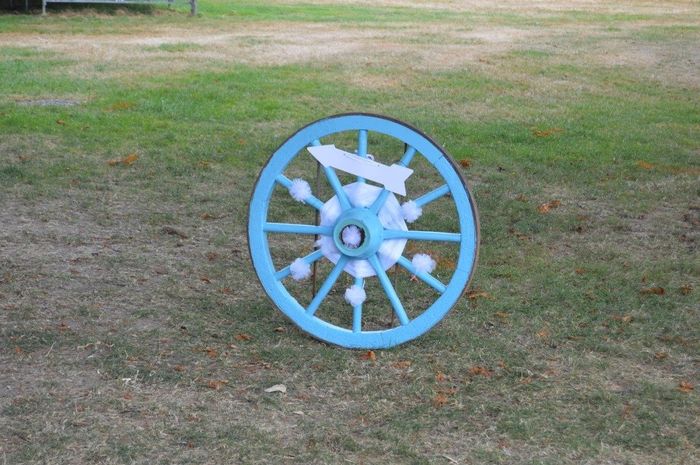 roue bois