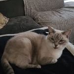 Elena