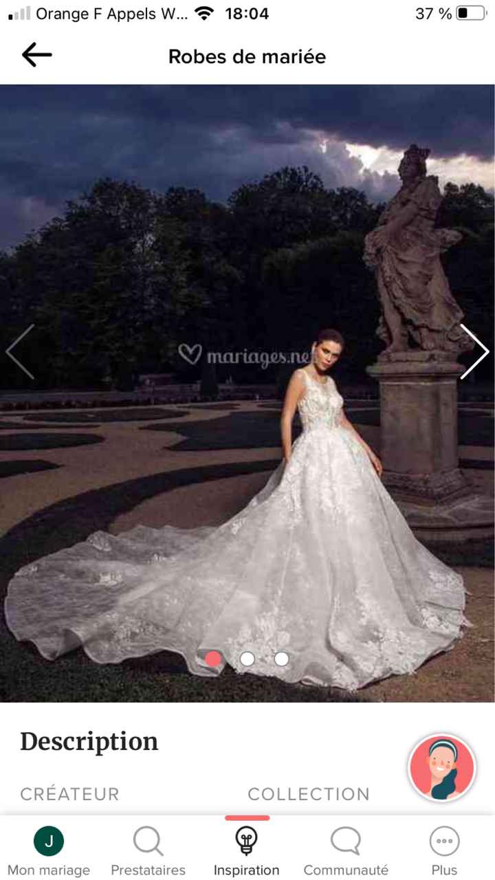 Choisis la robe de tes rêves sur notre catalogue 👰 - 1