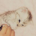 Myriam
