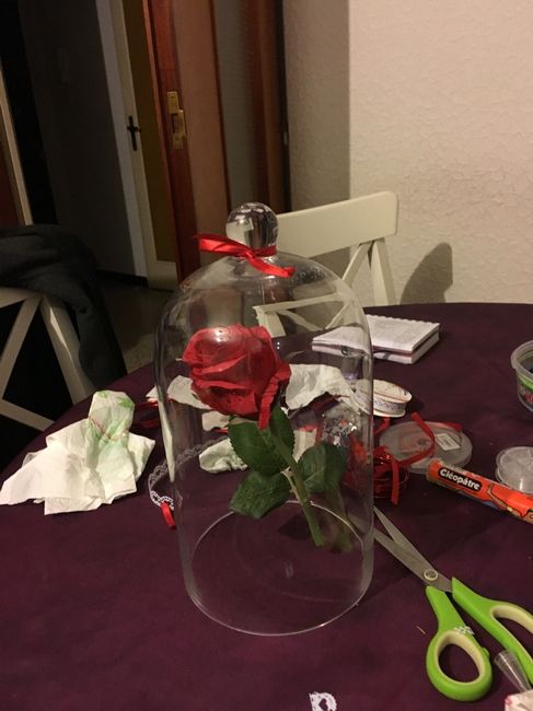 Ma rose eternelle - 2