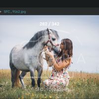 Séance photo avec vos animaux ? - 1