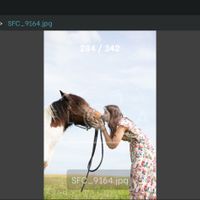 Séance photo avec vos animaux ? - 2