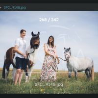 Séance photo avec vos animaux ? - 4