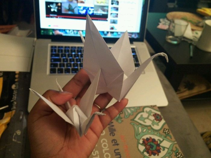 1000 grues - 1