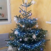 A vos sapins !!! - 1