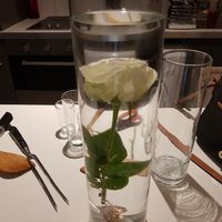 Fleurs immergées - 1