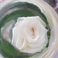 Fleurs immergées - 1