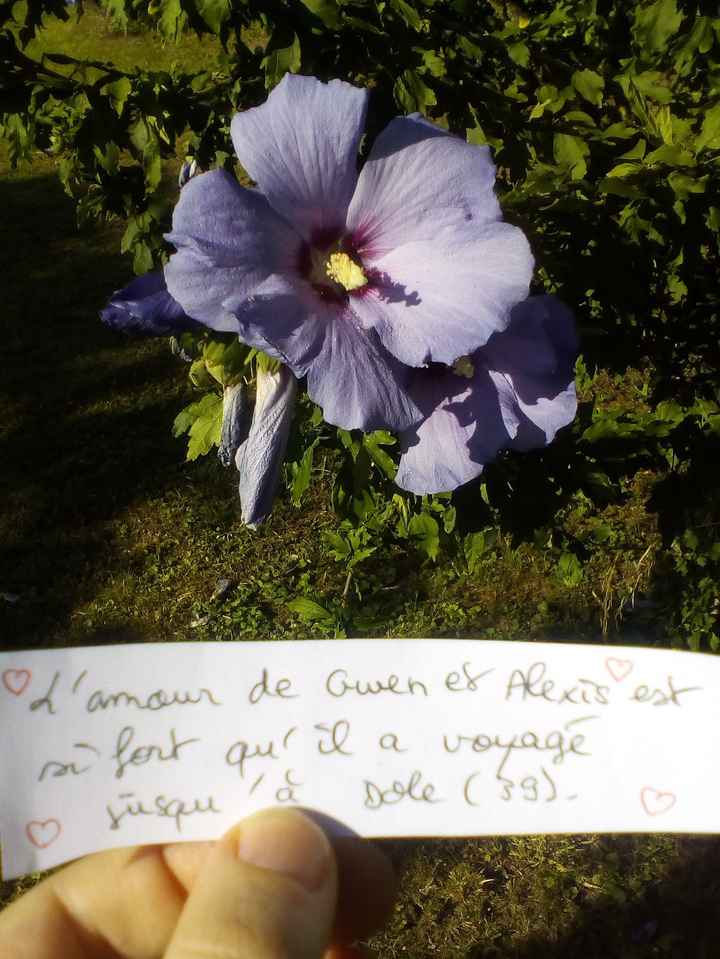 love notes - 1