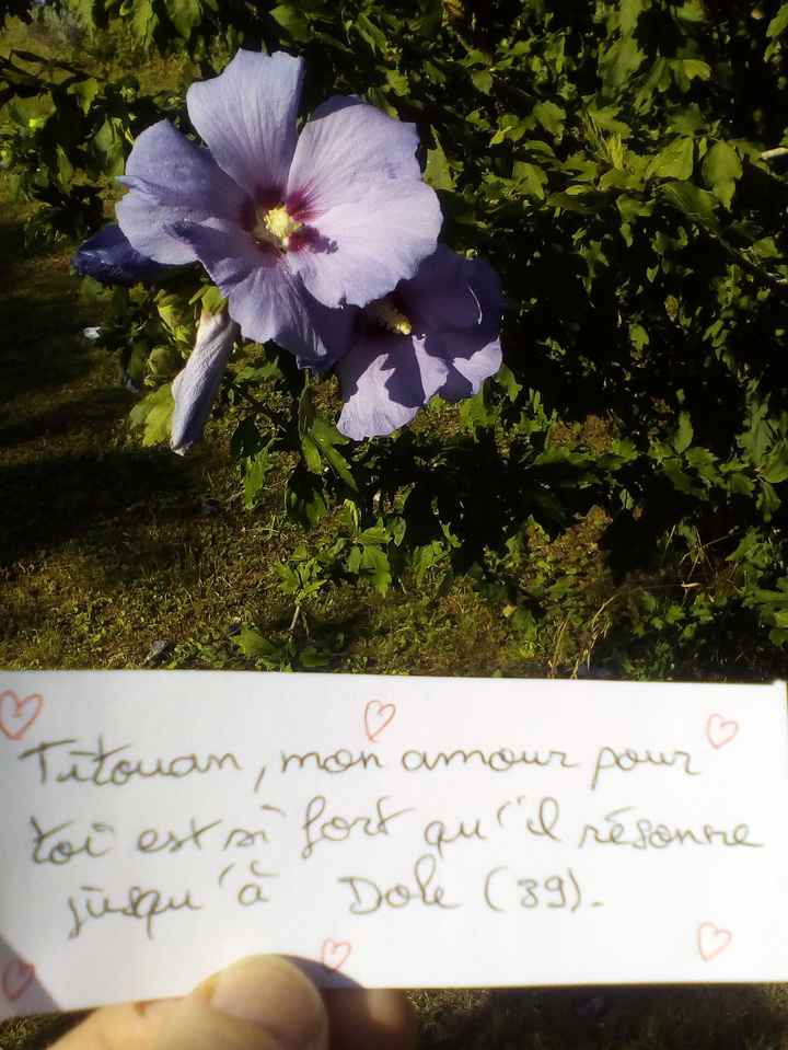 Love notes - 1