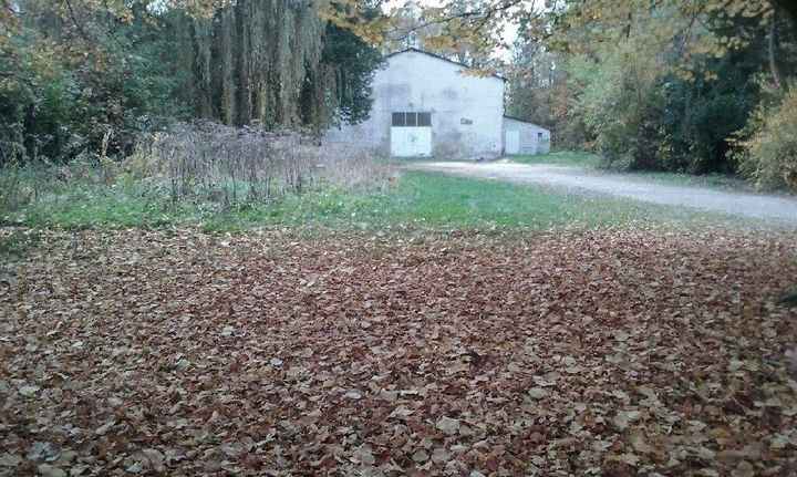 Ma sallllllleeeee hiiiiii - 6