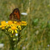 3. Tes préparatifs en 1 photo ! 🤳 - 1