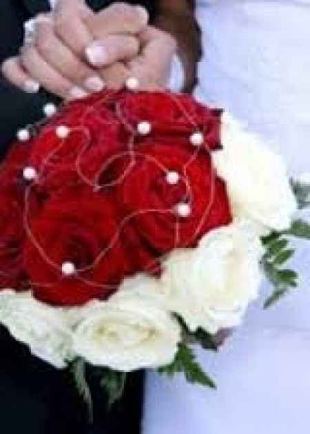 rose rouge et blanche 