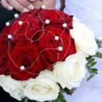 rose rouge et blanche 