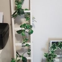 Location de decoration de mariage à Crémieu - 2