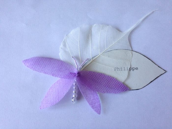 Libellules DIY - Marque noms