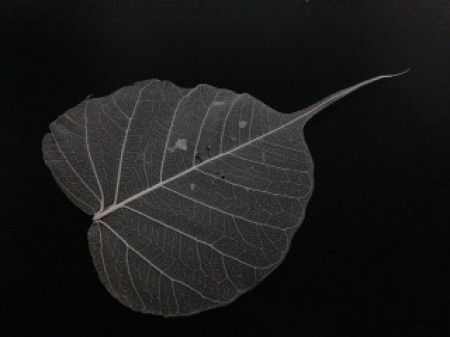 TUTO marque place Libellule