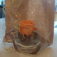 Cadeaux aux témoins le jour j - 1