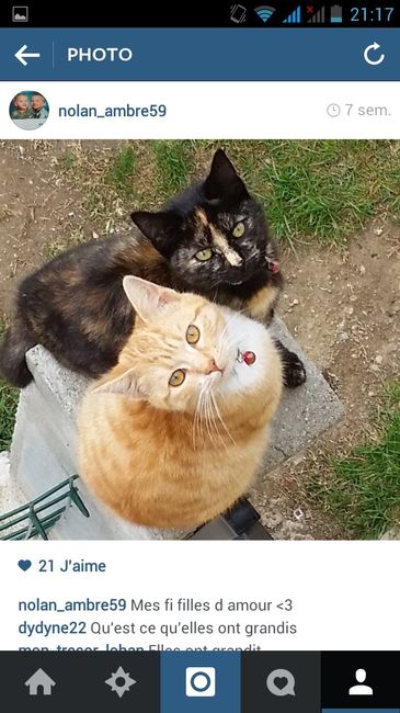 Nos animaux ! - 2