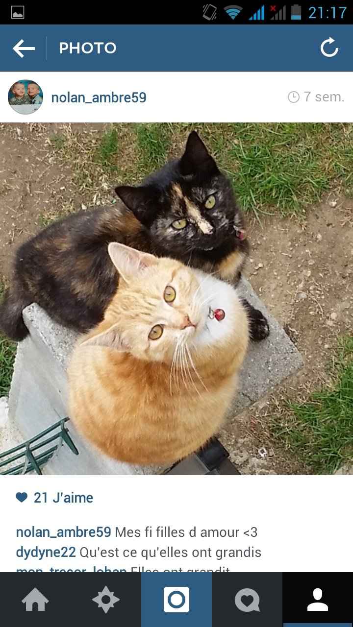 Nos animaux ! - 2
