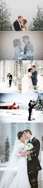 photos
