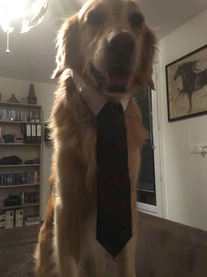 Même le chien est prêt - 2