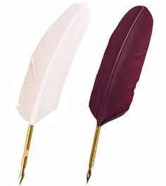 8. La plume pour signer