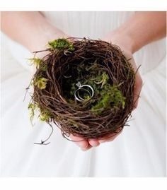 11. Le porte alliance nid d'oiseau