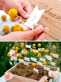 15. Le plan de table