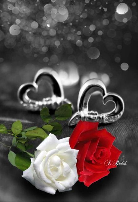 ❤️❤️ Pour nos mariées et mariés de ce samedi 11 août 2018 ❤️❤️ - 8