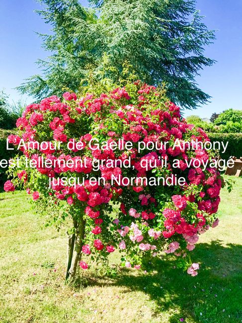 help !!! Besoin de vous pour surprise à mon homme  - 1