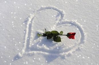  à toutes les mariées et mariés du 02 décembre 2017 - 1