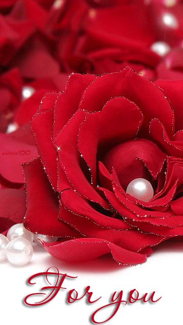 à toutes les mariées et mariés du 9 décembre 2017 - 1
