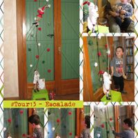 Quel a été votre plus beau cadeau de Noël ? - 2