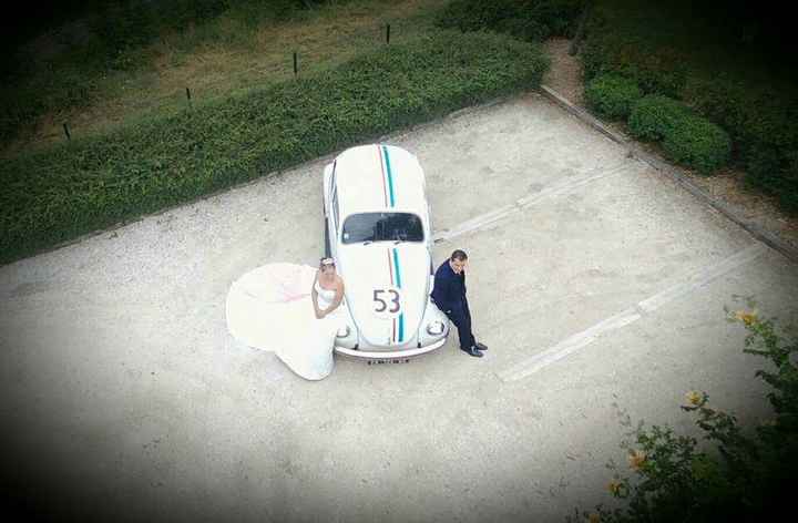 Quelques photo avec choupette par drone - 6