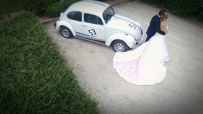 Quelques photo avec choupette par drone - 2