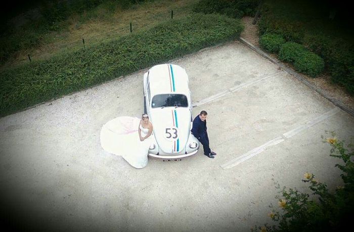 Quelques photo avec choupette par drone - 6