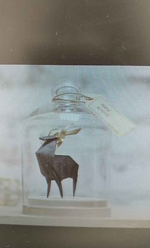  Les prestataires de Lily à Valenciennes - 3