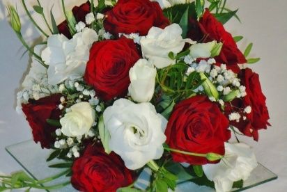 M-2 et encore et toujours pas de fleurs pour mes tables - 2