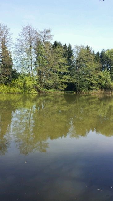 Notre lieu photo :) - 11