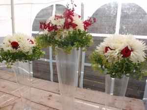 M-2 et encore et toujours pas de fleurs pour mes tables - 5