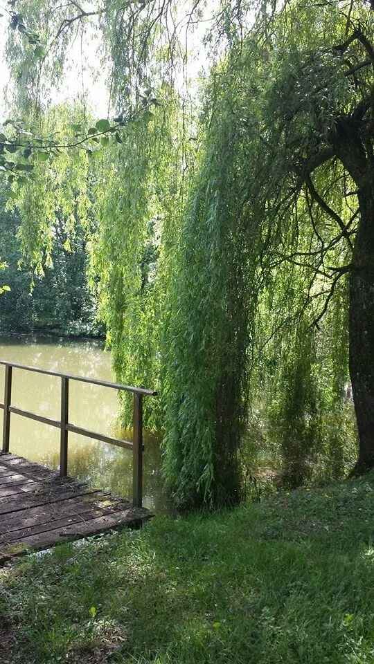 Notre lieu photo :) - 1