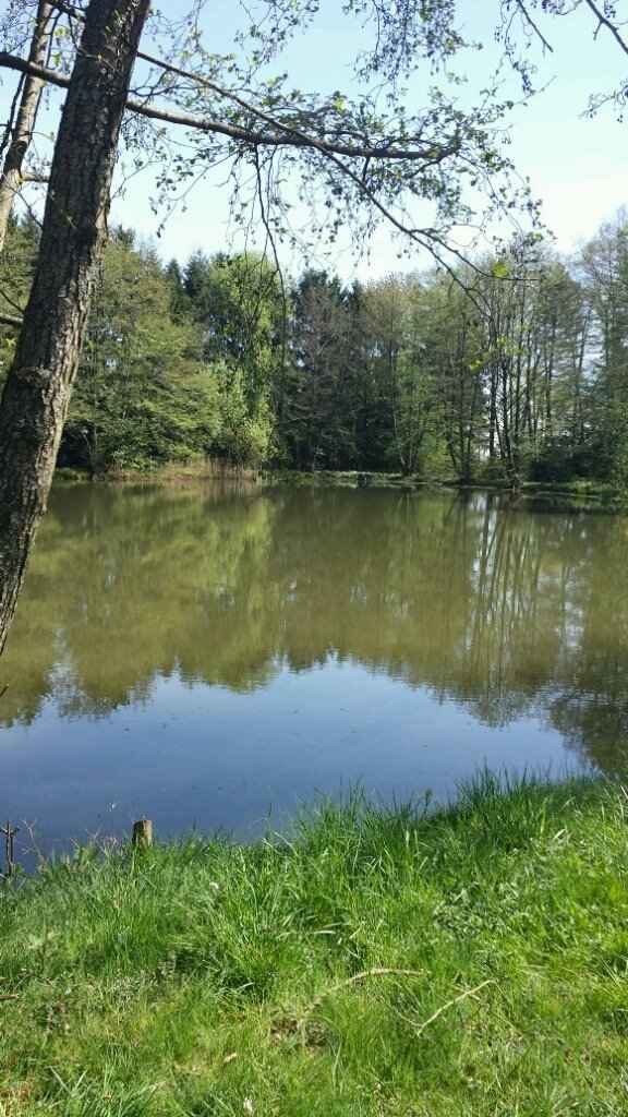 Notre lieu photo :) - 13